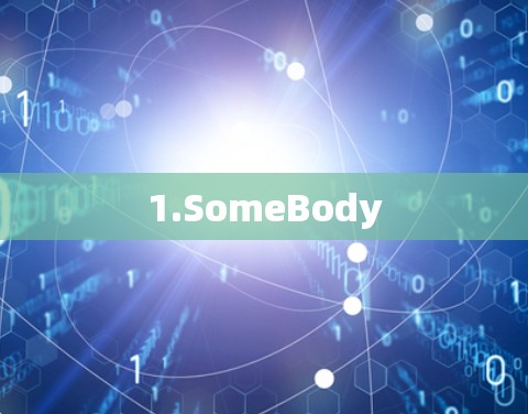 1.SomeBody