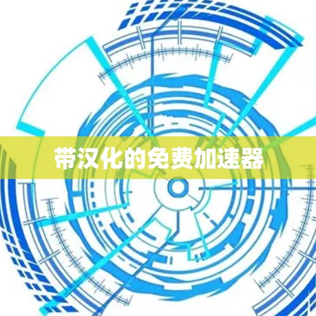带汉化的免费加速器 带汉化的免费加速器