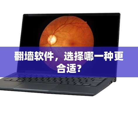 翻墙软件，选择哪一种更合适？
