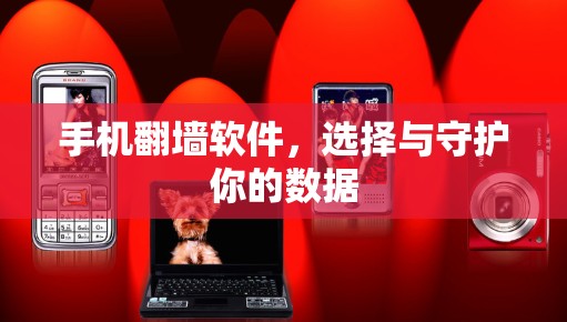 手机翻墙软件，选择与守护你的数据