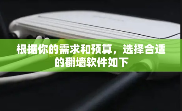 根据你的需求和预算，选择合适的翻墙软件如下