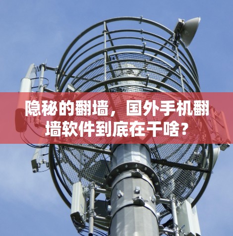 隐秘的翻墙，国外手机翻墙软件到底在干啥？