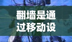 翻墙是通过移动设备的物理墙壁来代替网络设备的物理墙壁,通常用于减少网络使用或连接其他设备。以下是一个按步骤简要的翻墙操作指南,帮助您更好地理解和执行翻墙 翻墙是通过移动设备的物理墙壁来代替网络设备的物理墙壁,通常用于减少网络使用或连接其他设备。以下是一个按步骤简要的翻墙操作指南,帮助您更好地理解和执行翻墙