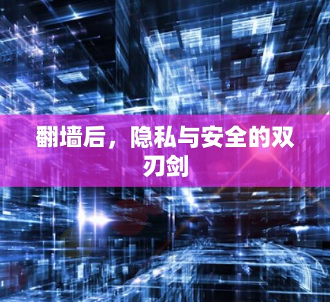 翻墙后，隐私与安全的双刃剑