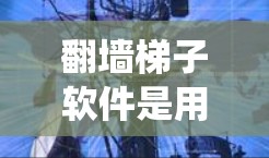 翻墙梯子软件是用于绕过网络过滤和防火墙的工具,旨在访问不同地理位置的互联网。以下是对该主题的详细总结 翻墙梯子软件是用于绕过网络过滤和防火墙的工具,旨在访问不同地理位置的互联网。以下是对该主题的详细总结