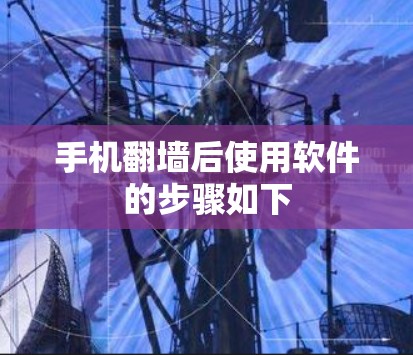 手机翻墙后使用软件的步骤如下