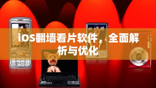 iOS翻墙看片软件,全面解析与优化 iOS翻墙看片软件,全面解析与优化