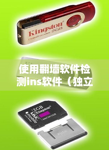 使用翻墙软件检测ins软件（独立软件管理工具）的步骤如下