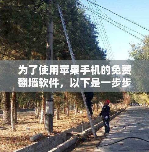 为了使用苹果手机的免费翻墙软件，以下是一步步的建议和步骤