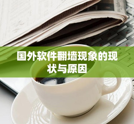 国外软件翻墙现象的现状与原因