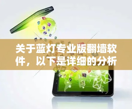 关于蓝灯专业版翻墙软件，以下是详细的分析与建议