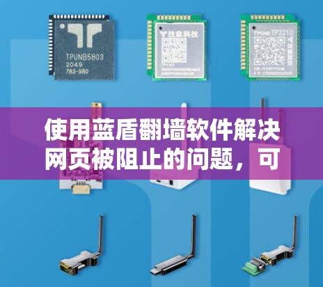 使用蓝盾翻墙软件解决网页被阻止的问题，可以按照以下步骤进行