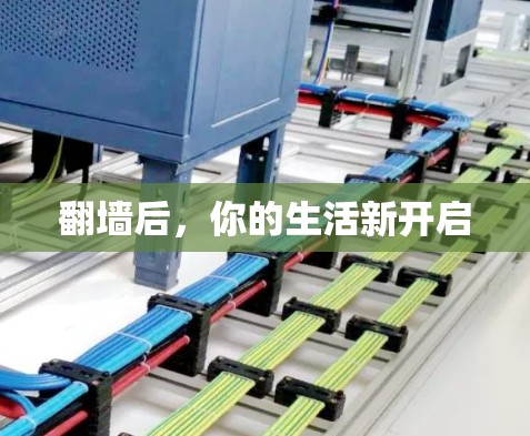 翻墙后，你的生活新开启