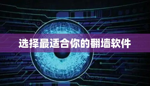 选择最适合你的翻墙软件