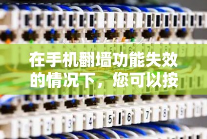 在手机翻墙功能失效的情况下，您可以按照以下步骤进行解决