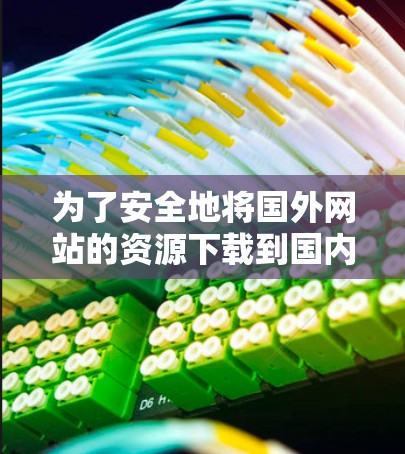 为了安全地将国外网站的资源下载到国内电脑上，您可以按照以下步骤进行操作