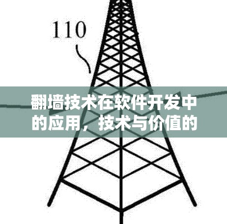 翻墙技术在软件开发中的应用，技术与价值的双重意义