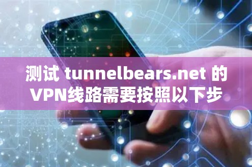 测试 tunnelbears.net 的VPN线路需要按照以下步骤进行
