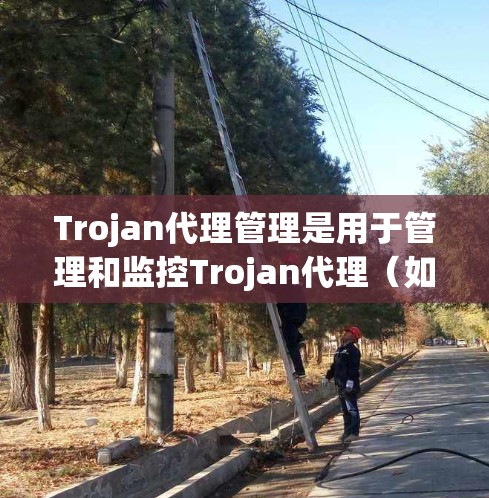 Trojan代理管理是用于管理和监控Trojan代理(如WebAttak,AdBlock Plus等)的工具。以下是一些常见的Trojan代理管理方法和工具,适合Chrome和Firefox用户 Trojan代理管理是用于管理和监控Trojan代理(如WebAttak,AdBlock Plus等)的工具。以下是一些常见的Trojan代理管理方法和工具,适合Chrome和Firefox用户