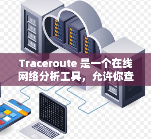 Traceroute 是一个在线网络分析工具，允许你查看网络结构、流量和连接情况。你可以通过以下步骤下载并使用它