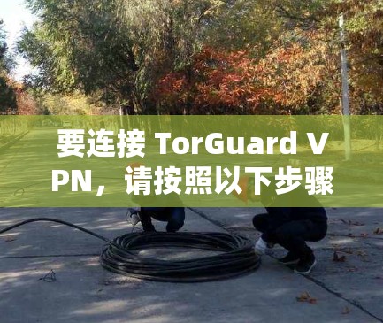 要连接 TorGuard VPN，请按照以下步骤操作