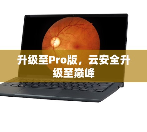升级至Pro版，云安全升级至巅峰