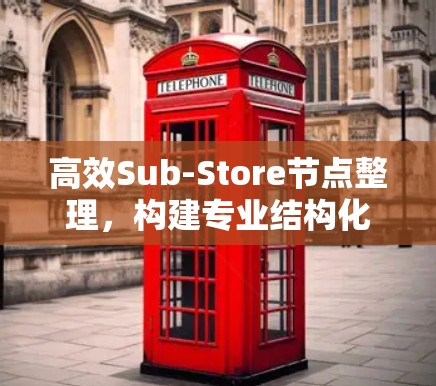 高效Sub-Store节点整理，构建专业结构化存储方案