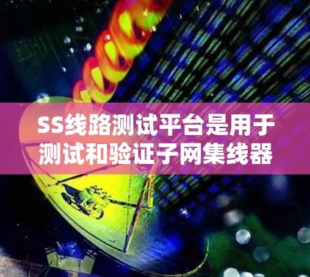 SS线路测试平台是用于测试和验证子网集线器（SS线路）性能的工具，旨在模拟和验证数据传输和网络性能。以下是一个详细的总结