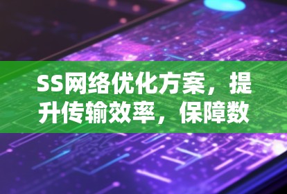 SS网络优化方案，提升传输效率，保障数据安全