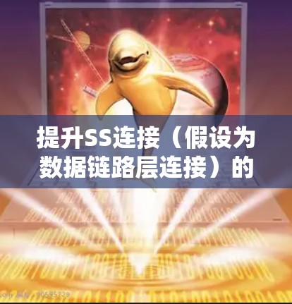 提升SS连接（假设为数据链路层连接）的速度，可以通过以下步骤实施