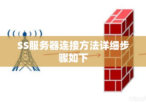 SS服务器连接方法详细步骤如下