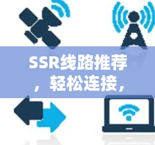 SSR线路推荐，轻松连接，数据采集无忧