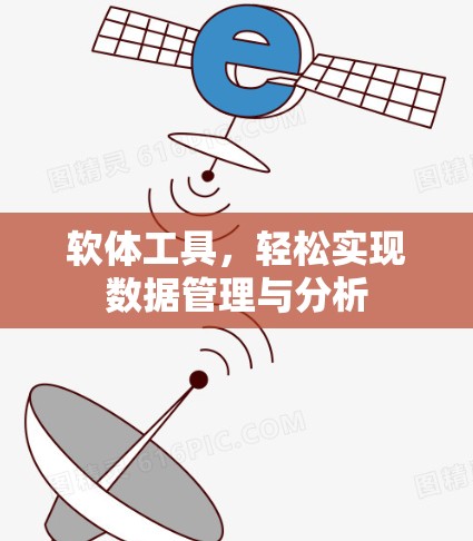 软体工具，轻松实现数据管理与分析