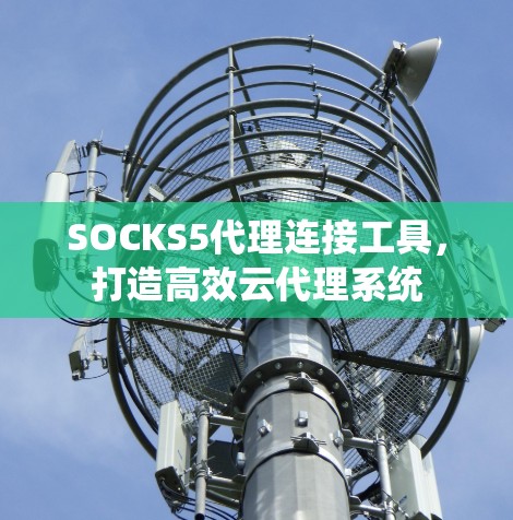 SOCKS5代理连接工具，打造高效云代理系统