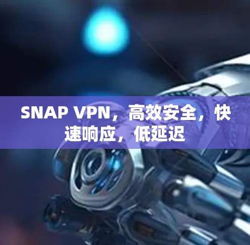 SNAP VPN，高效安全，快速响应，低延迟