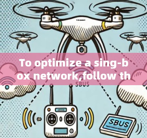 To optimize a sing-box network,follow this organized approach: