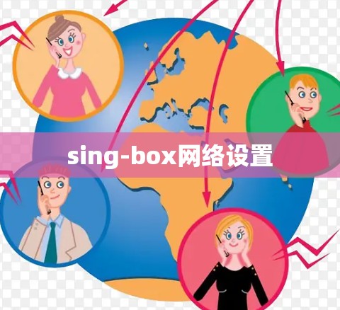 sing-box网络设置