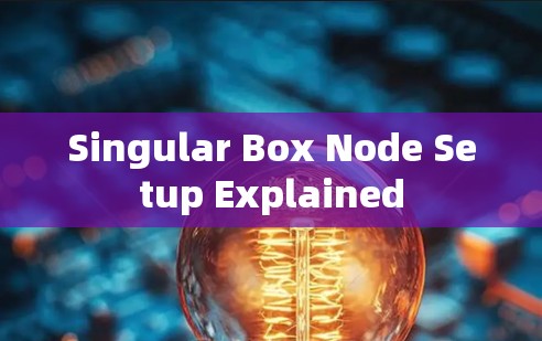 Singular Box Node Setup Explained