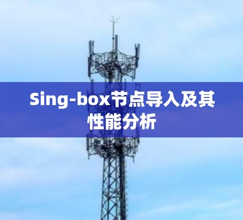 Sing-box节点导入及其性能分析