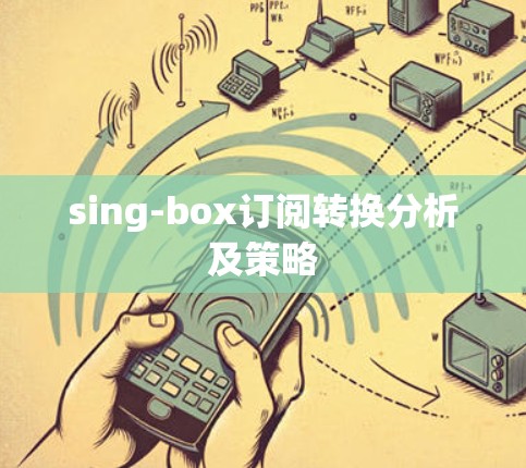 sing-box订阅转换分析及策略
