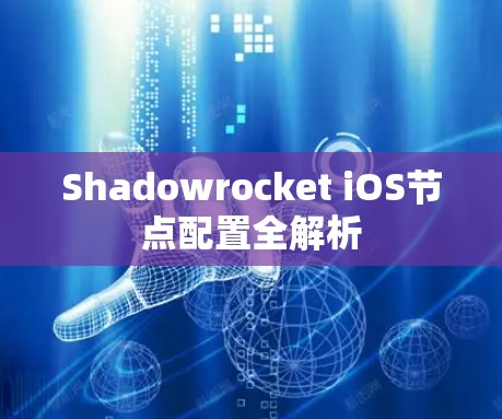 Shadowrocket iOS节点配置全解析