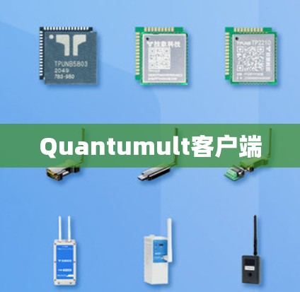 Quantumult客户端