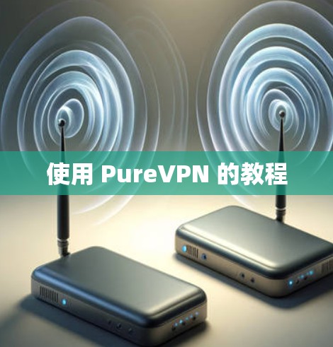 使用 PureVPN 的教程