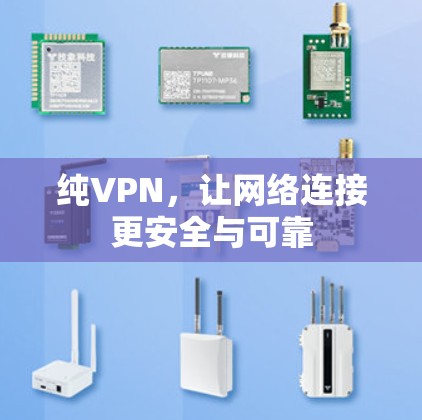 纯VPN，让网络连接更安全与可靠
