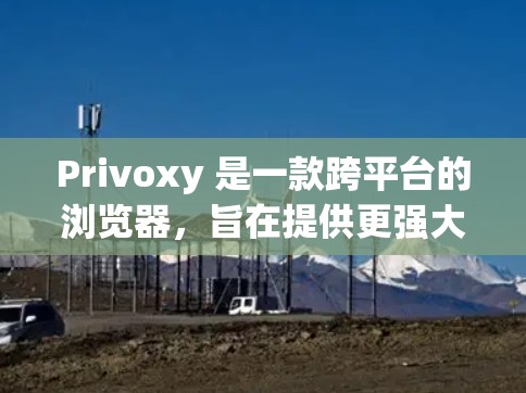 Privoxy 是一款跨平台的浏览器，旨在提供更强大的和更便捷的访问体验。以下是对其使用体验的详细分析