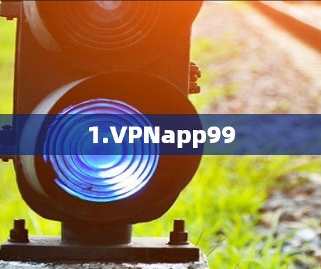 1.VPNapp99