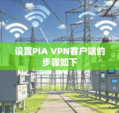 设置PIA VPN客户端的步骤如下