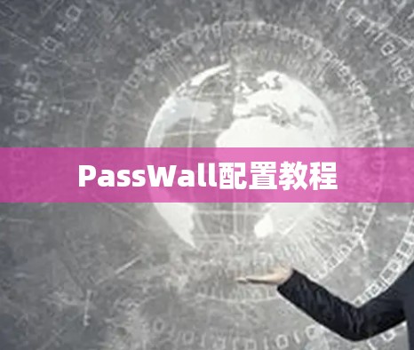 PassWall配置教程