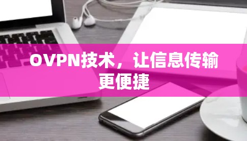 OVPN技术，让信息传输更便捷