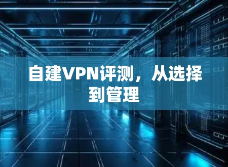 自建VPN评测，从选择到管理